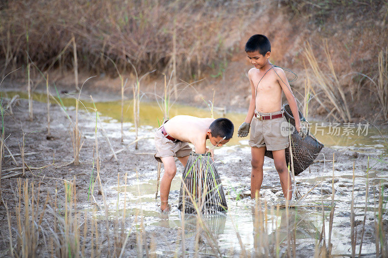 课后，泰国农村的小男孩喜欢在稻田周围的湿地里抓鱼