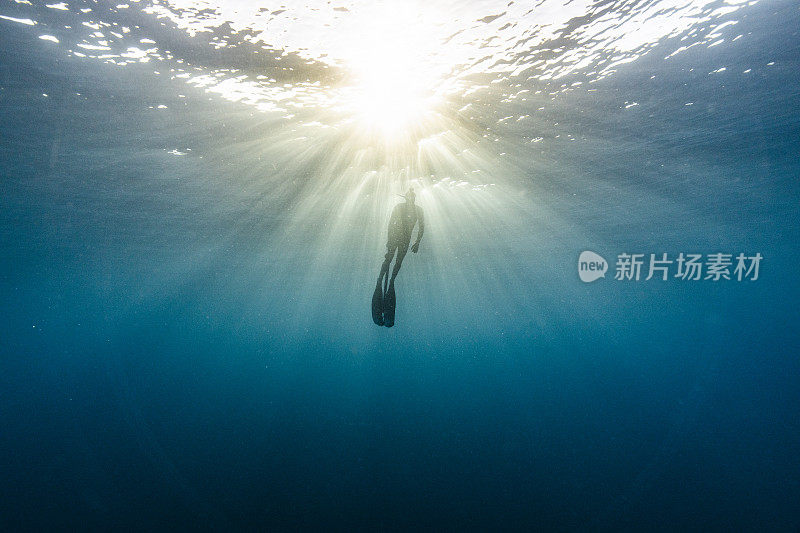 鱼叉渔夫，在明亮的光线下，在广阔的深蓝色海洋中探索和捕猎鱼类