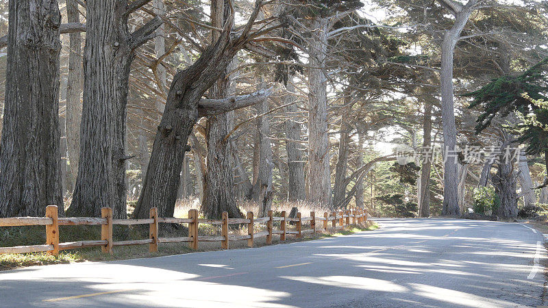 加州蒙特利，风景优美的17英里车程。穿越柏树森林的自驾游。