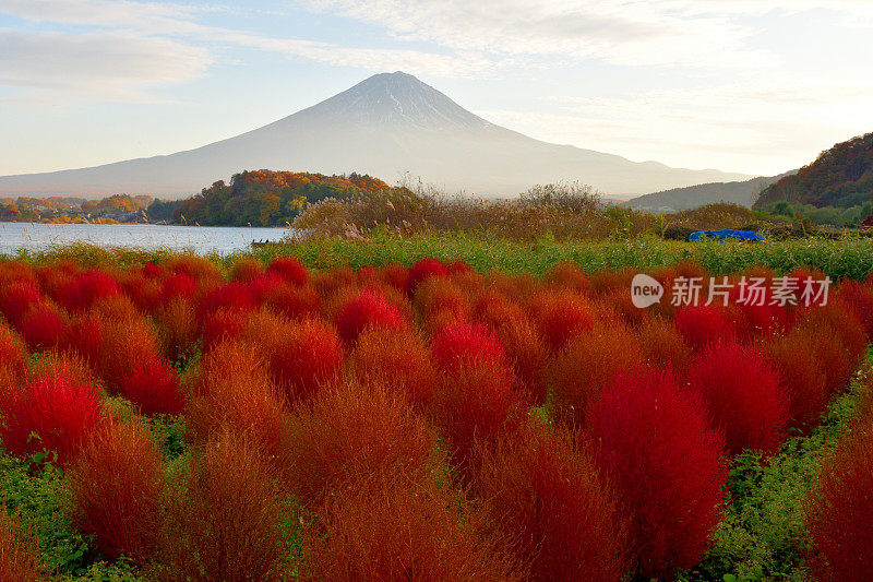 山梨县川口湖畔的富士山和五彩缤纷的高山