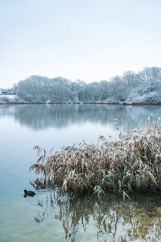 一个寒冷的早晨，这个季节的第一层雪