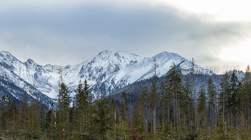 塔特拉山脉的冬季。波兰塔特拉斯国家公园。白雪覆盖的冬天的山。塔特拉山的冬季景观
