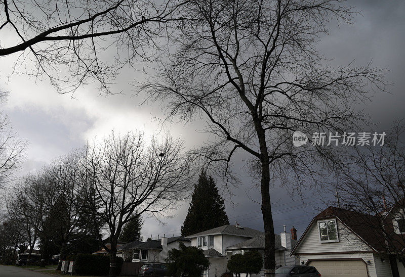 暴风雨中的加拿大萨里，绿树成荫的社区