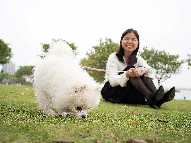 一个女人和她的狗在草地上休息