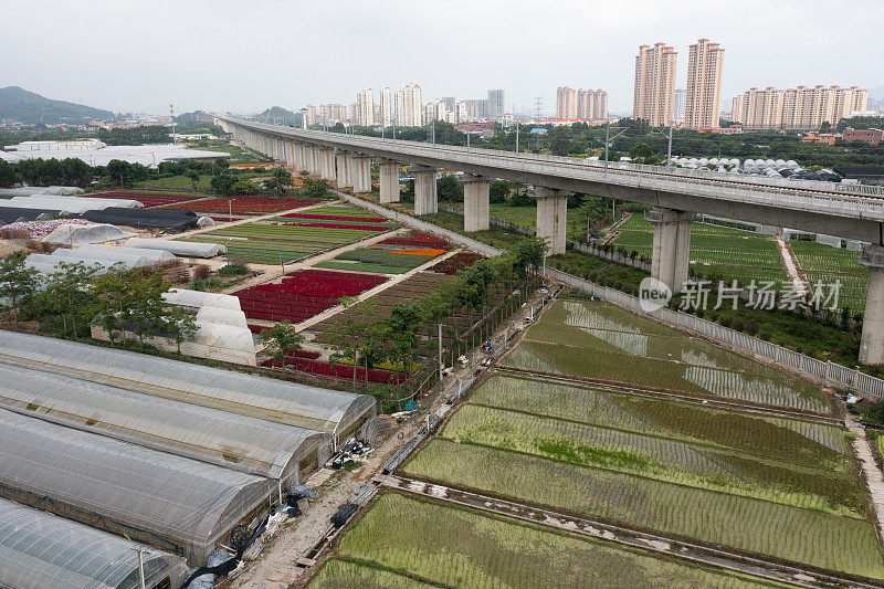 花卉种植栽培基地