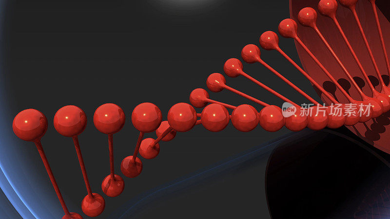DNA螺旋模型