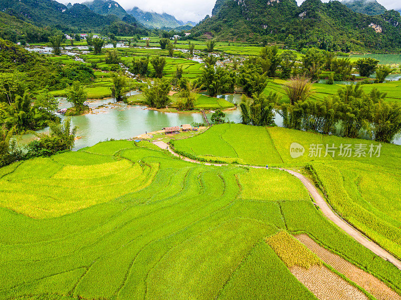 越南曹邦，中庆，码头顺河的空中景观，绿色的稻田和质朴的土著房屋