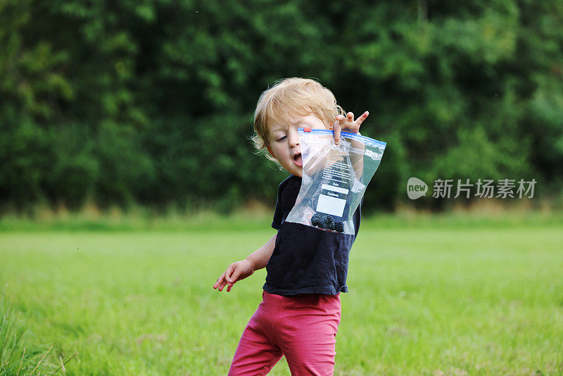 可爱的顽皮的孩子享受她的第一次觅食和品尝野生黑莓。