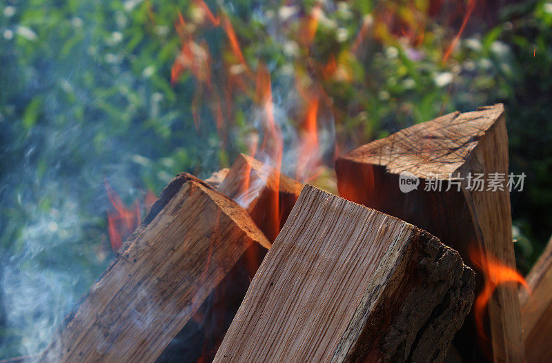 干燃烧的原木在森林篝火详细库存照片