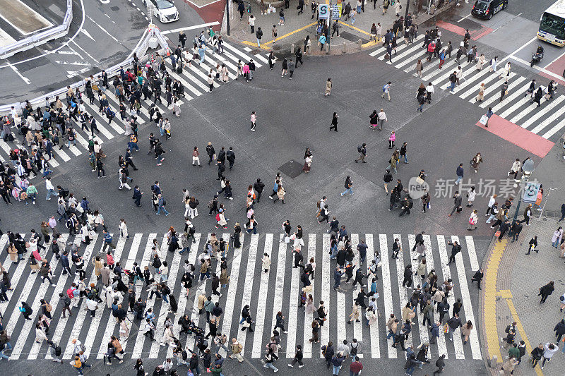 涩谷十字路口，日本东京