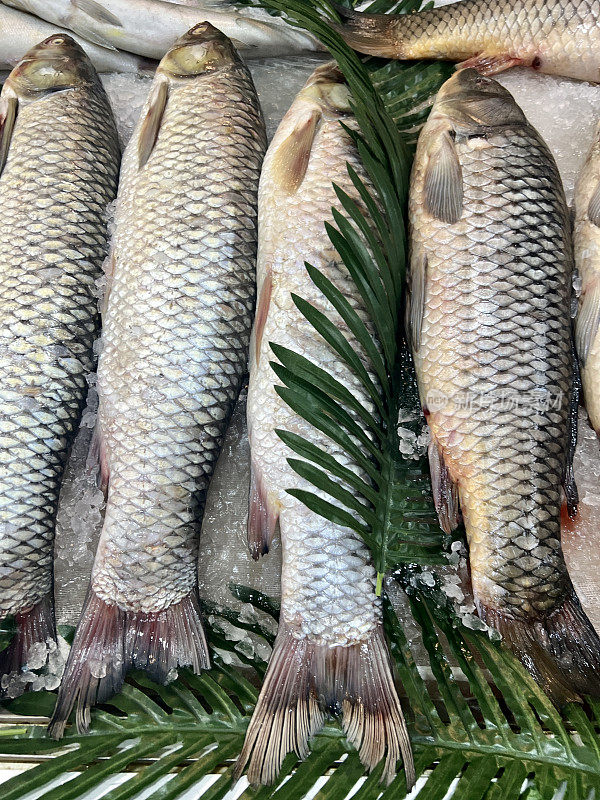 阿塞拜疆巴库展示出售的鲜鱼