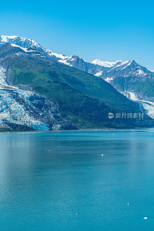 美国阿拉斯加州威廉王子湾学院峡湾的史密斯冰川