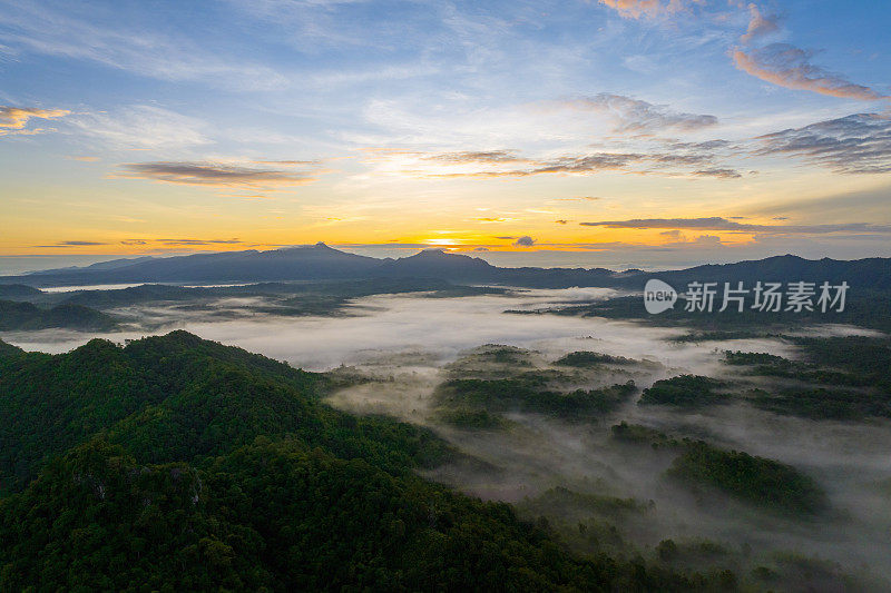 清晨的风景，金色的光线，日出，雾气笼罩着森林。