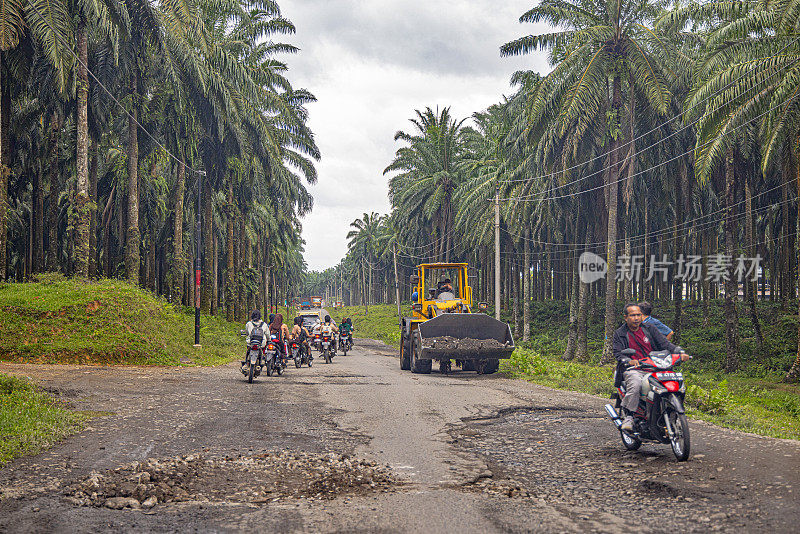 穿过油棕种植园的道路上坑坑洼洼