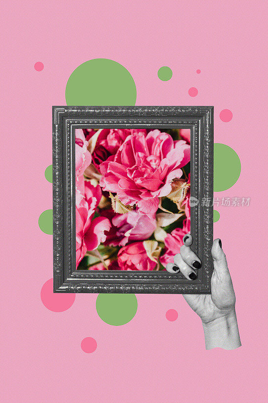 极简主义的数字拼贴画，粉红色的玫瑰在一个框架和一只手拿着它。
