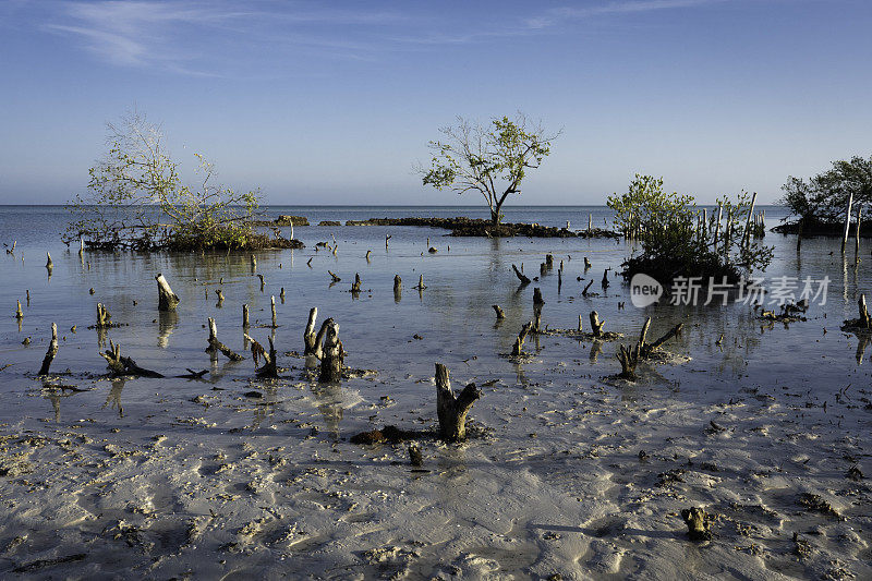 墨西哥Holbox岛的自然保护区