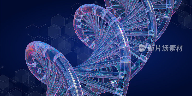 DNA分子双螺旋螺旋三维透明管效果，特写