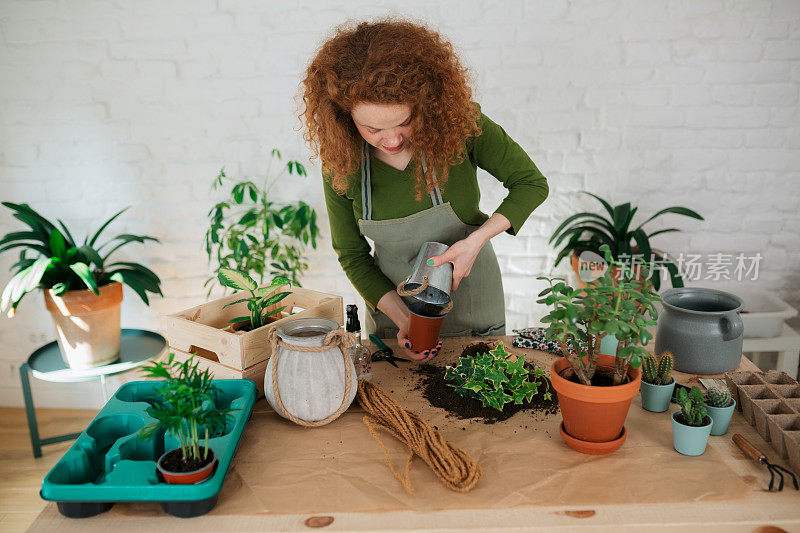 高角度的一个年轻的白人妇女照顾她的室内植物照顾