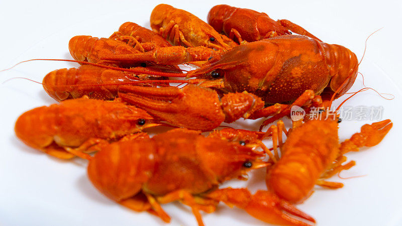 一群煮熟的河红小龙虾放在盘子里。白色背景。