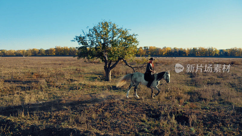 一个穿着牛仔装的男人骑着一匹白马穿过广阔的田野