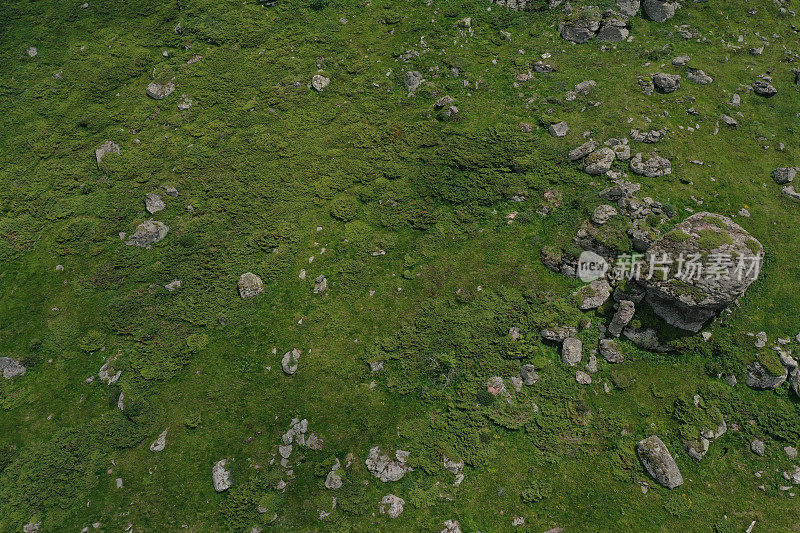 无人机拍摄的落基山和普通杜松丛