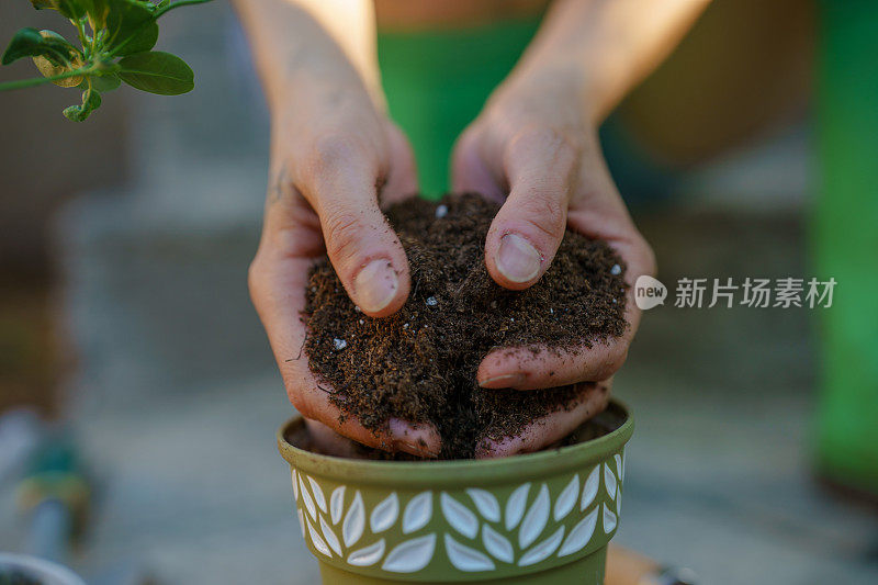 靠近人类的手，种植