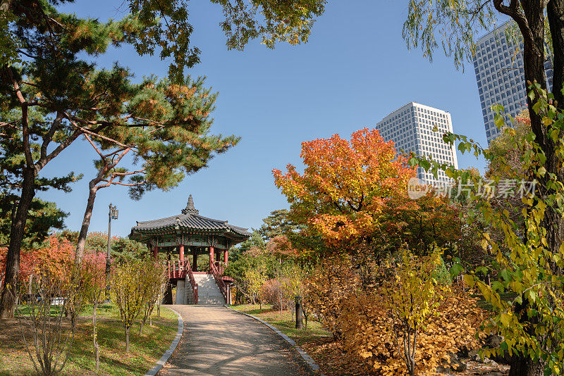 韩国首尔，汝矣岛公园秋叶和传统凉亭