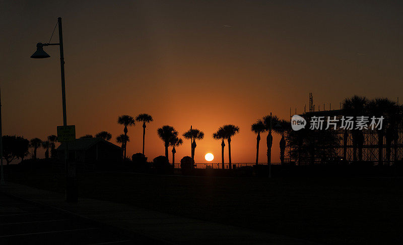 黎明时分，在佛罗里达州圣彼得堡的阿尔伯特·惠泰德公园的海滨。