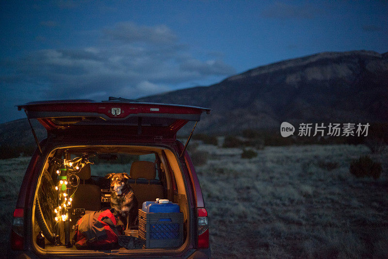 狗狗SUV山地车和山景黄昏
