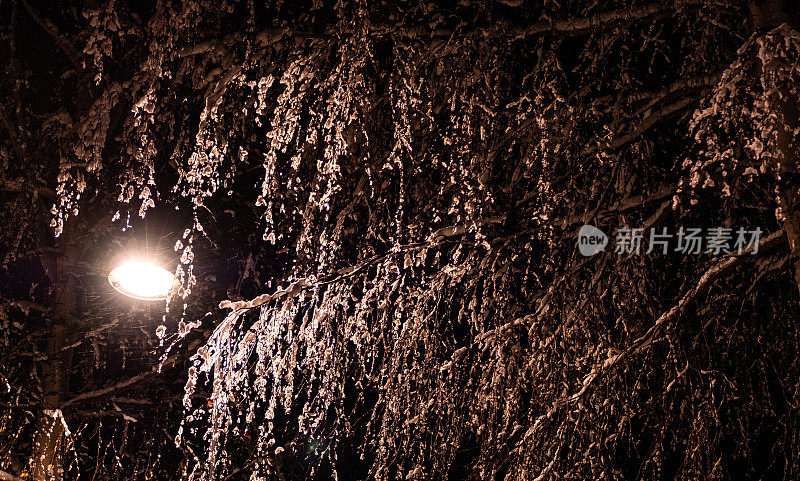 夜里一盏路灯照亮了白桦树的枝头，枝头都结了霜。
