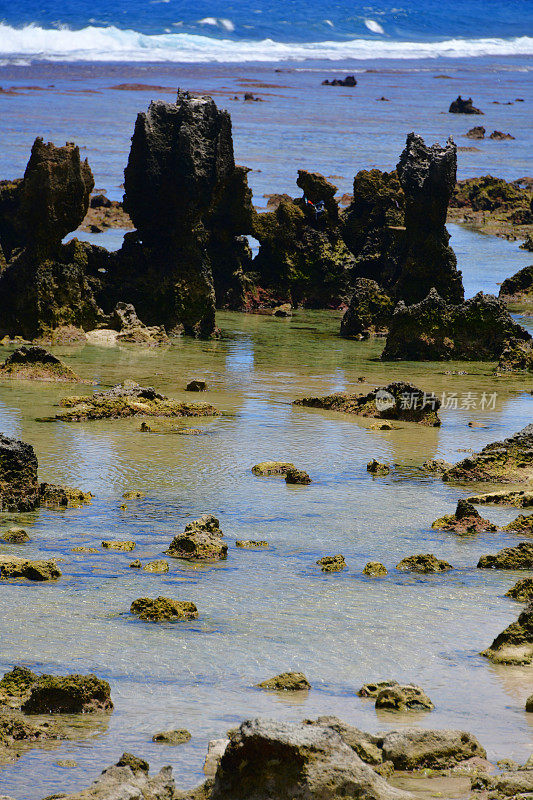 瑙鲁Anibare湾的珊瑚石灰岩海滩