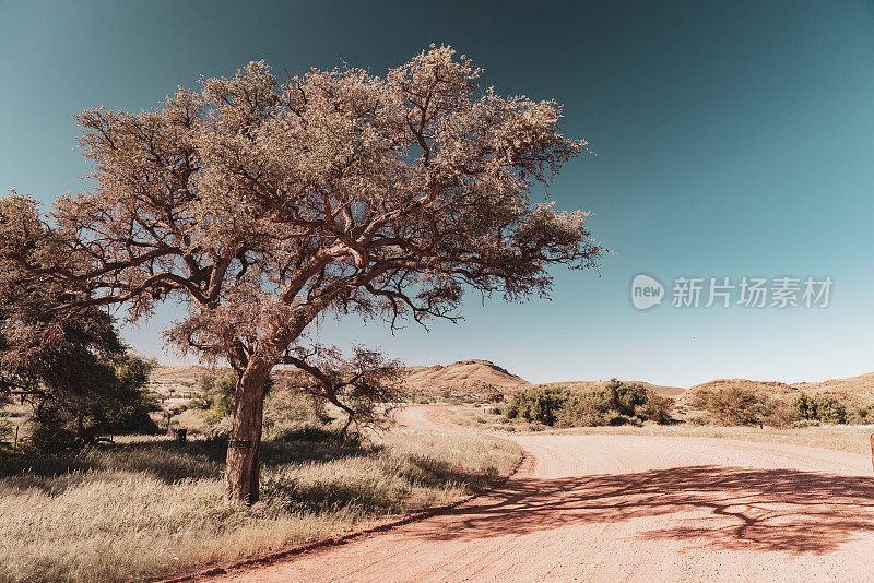 在非洲纳米比亚的自助狩猎之旅中驾车穿越美丽的风景