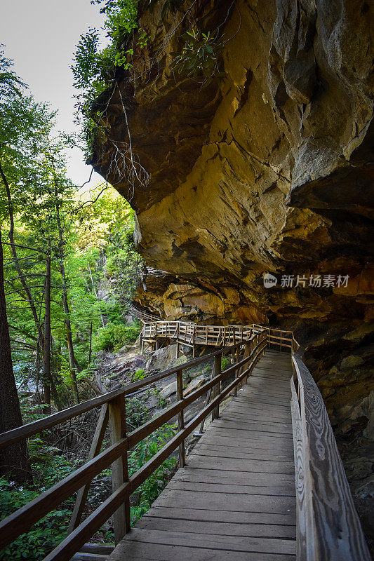 西弗吉尼亚州奥德拉州立公园悬崖下的人行桥