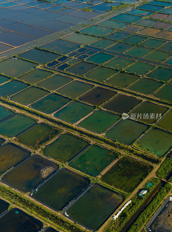 航拍照片，五颜六色的虾场在沿海河田，江省