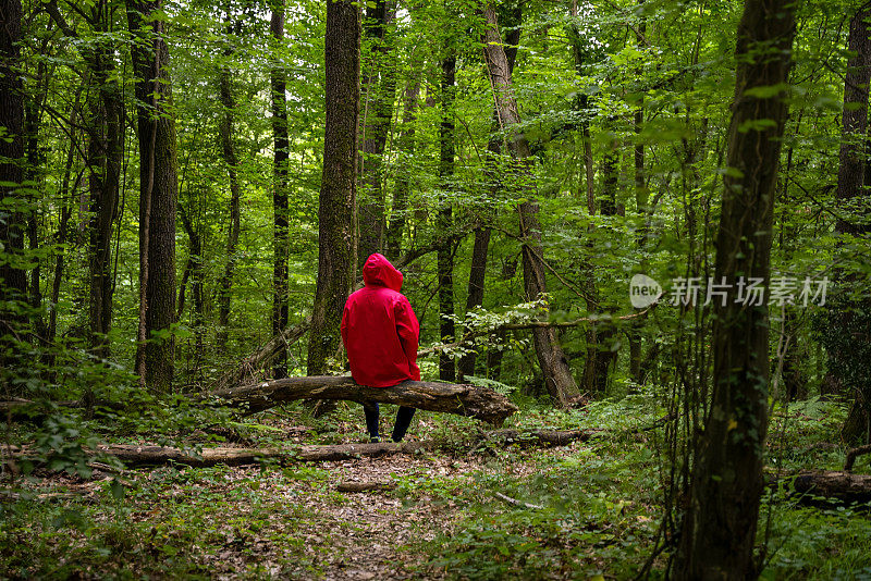 一个穿着红色连帽雨衣的男人独自在森林里