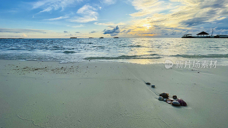 阳光明媚的马尔代夫海滩上沙滩上的贝壳。