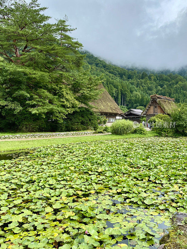 日本——白川乡