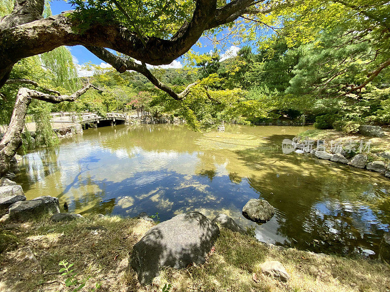 日本-京都-丸山公园