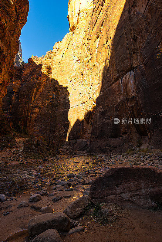 在锡安国家公园徒步旅行的风景