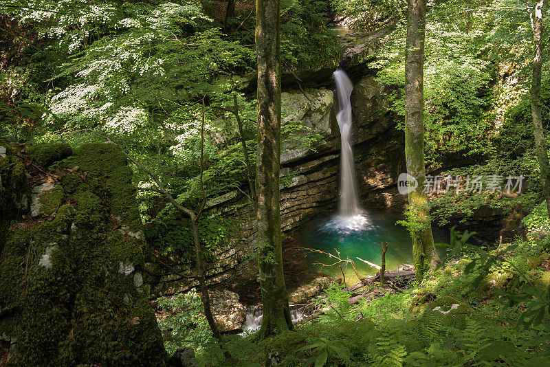 风景如画的瀑布隐藏在森林深处。