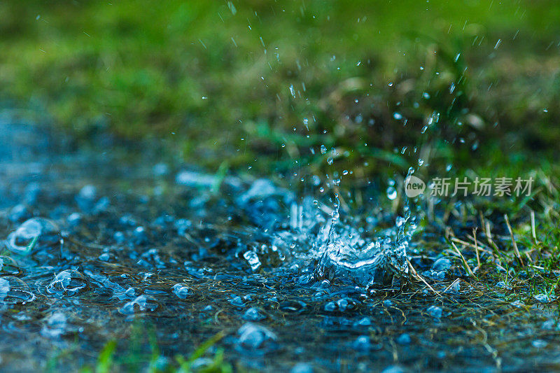 场上暴雨。农场。水坑里的雨滴。