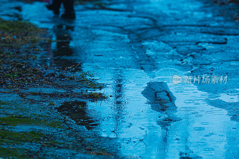 水坑里的雨滴。暴雨。