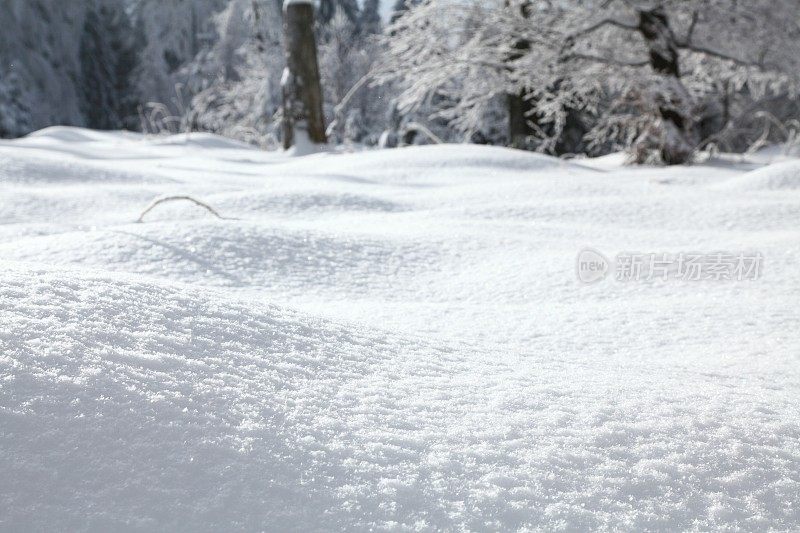 冬粉景观雪全框背景