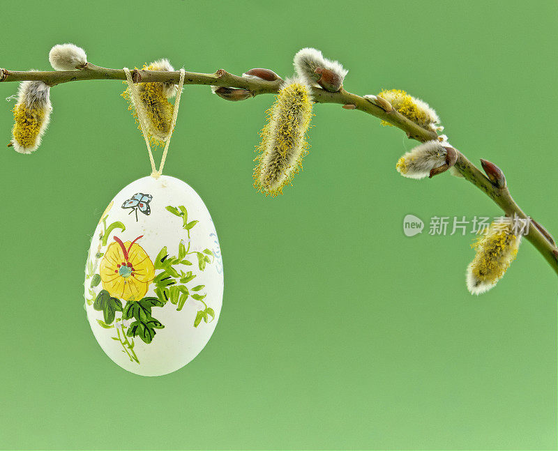 花猫手绘复活节彩蛋