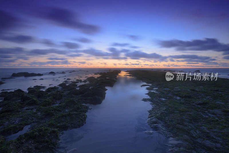 穆迪海景