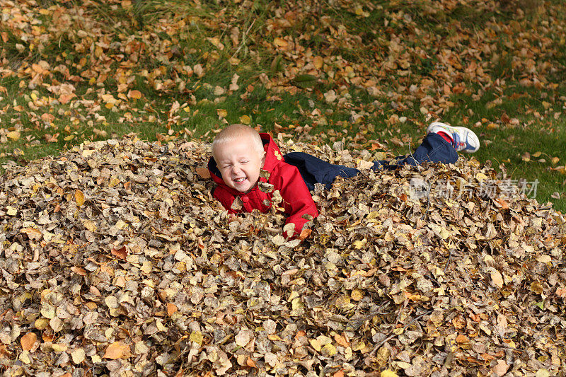 男孩在秋天的树叶中玩耍