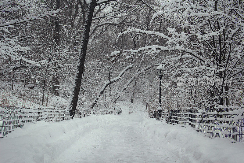 雪路