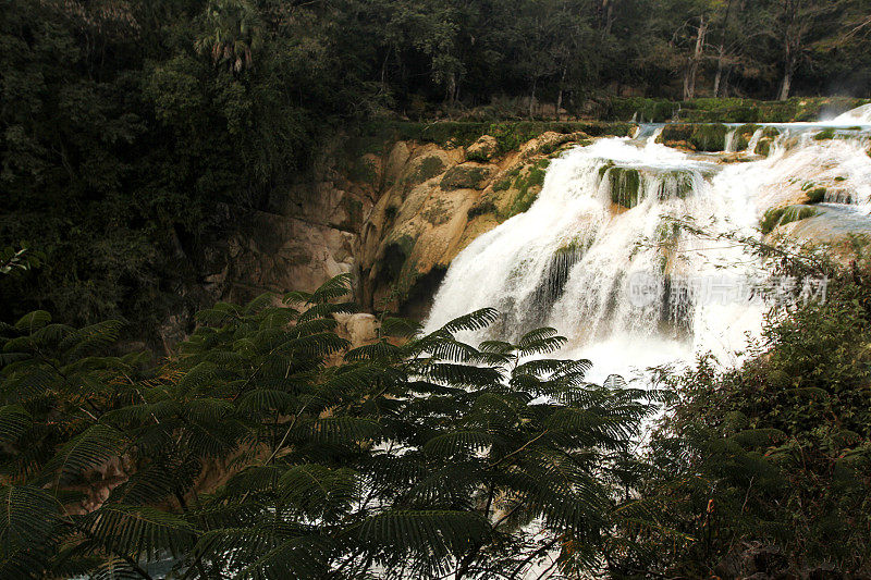 Huasteca