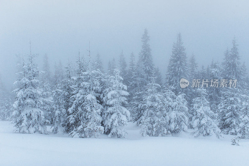 山上有浓雾。戏剧性的一幕。神奇的冬天雪