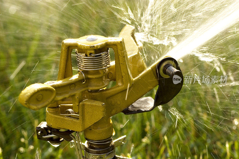 花园灌溉用洒水车浇灌草坪。